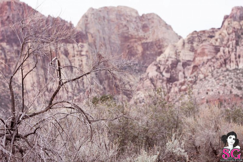 Страстная брюнетка голая на природе 6 фото